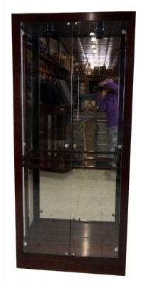 Lighted Wooden and Glass Display Cabinet