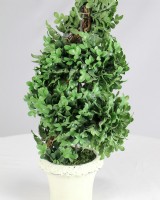 Artifical Plant