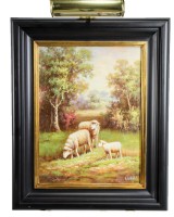 Sheep in Forest
