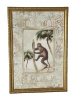 Monkey Print