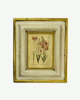 Floral Botanical Name Print on Wood