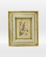 Floral Botanical Name Print on Wood