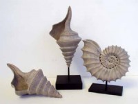 SEASHELL SCUPLTURE