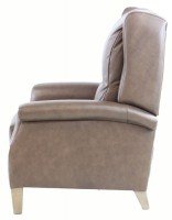 Track Style Leather Recliner