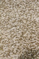 Cords 100% Wool Rug