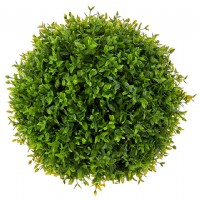 BOXWOOD BALL