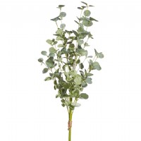 EUCALYPTUS BUNDLE