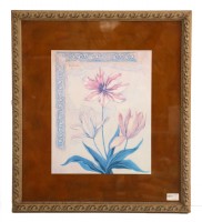 NIcely Framed Print of an Exotic Mapasi