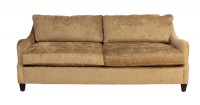 Two Cushion Contemporary Sofa
