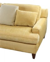 Gold Chenille Two Cushion Sofa