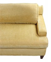 Gold Chenille Two Cushion Sofa