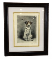Original Etching of ATerrier