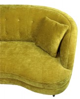 Velvet Upholstered Kidney Sofa