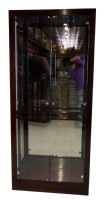 Lighted Wooden and Glass Display Cabinet