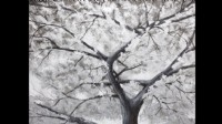 Abstract Black & White Tree Painting